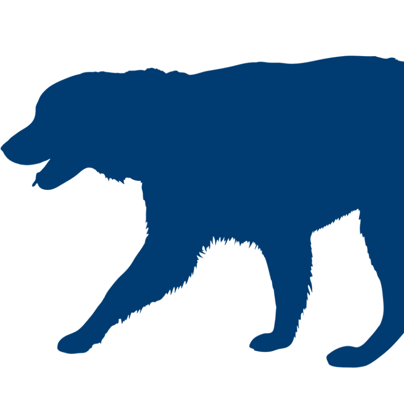 Careers Alliance Animal Health