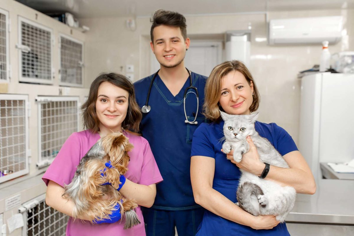 Students Alliance Animal Health